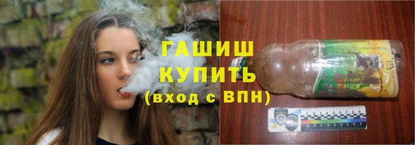 хмурый Алзамай