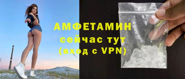 хмурый Алзамай