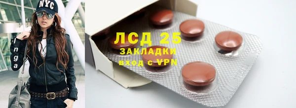 хмурый Алзамай
