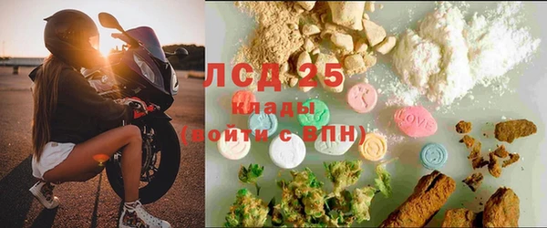 стафф Арсеньев