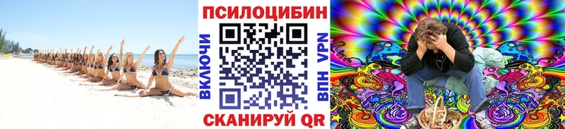 закладки  Нижнеудинск  Псилоцибиновые грибы Psilocybine cubensis 